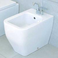 Биде напольное Flaminia Terra TR217, белый