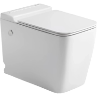 Унитаз напольный Ceruttispa Maiella Pulse CT10196 импульсный, безободковый, с сиденьем микролифт, белый