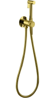 Гигиенический душ Allen Brau Liberty 5.31A29-GB со смесителем, брашированное золото