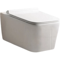 Унитаз подвесной Ceruttispa Viola Aria CT10583 безободковый, торнадо, с сиденьем микролифт, белый