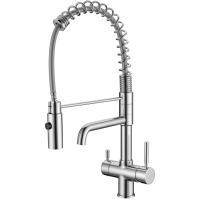 Смеситель для кухни Seaman Barcelone SSL-5370-Water